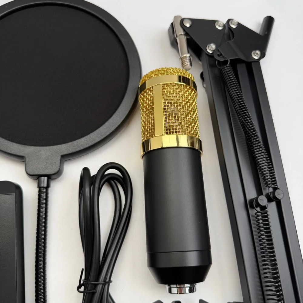 Professional Silver Condenser Microphone